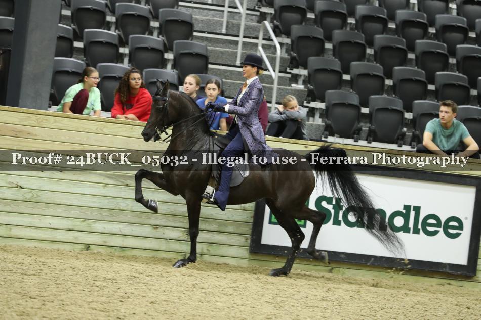Proof 24BUCK_05032