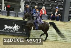 24BUCK_05033 proof