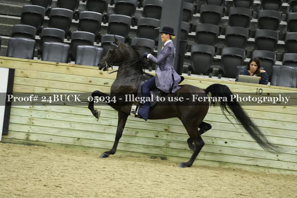 Proof 24BUCK_05034