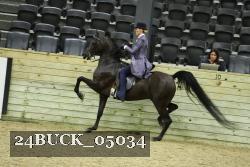 24BUCK_05034 proof