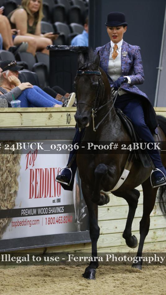 Proof 24BUCK_05036