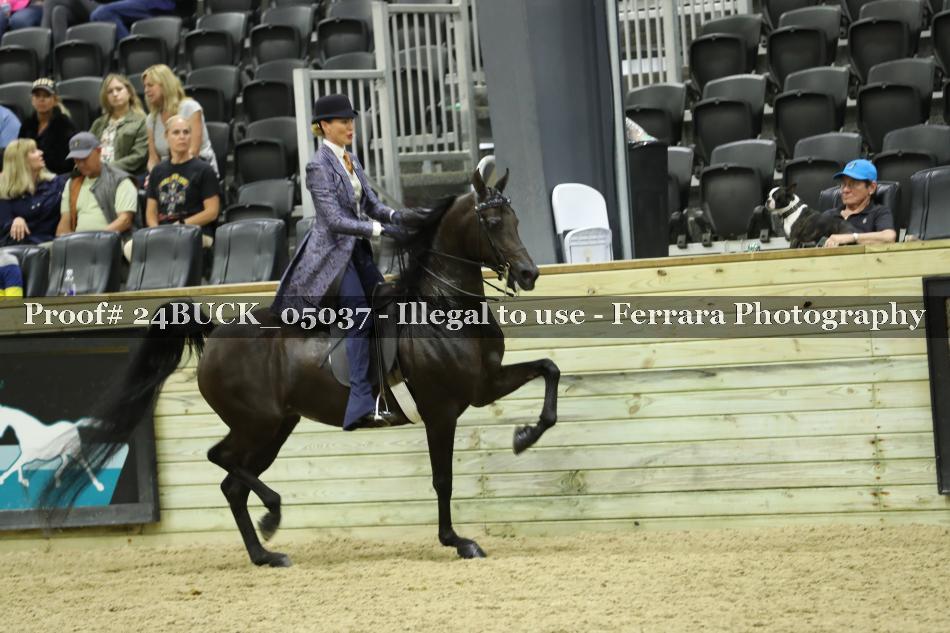 Proof 24BUCK_05037