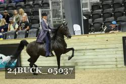 24BUCK_05037 proof