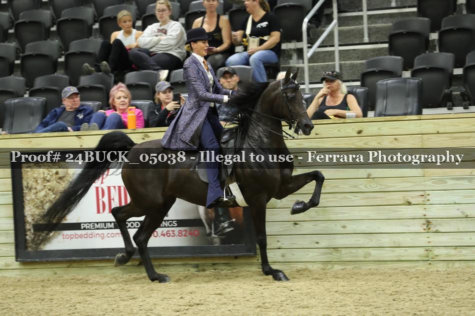 Proof 24BUCK_05038