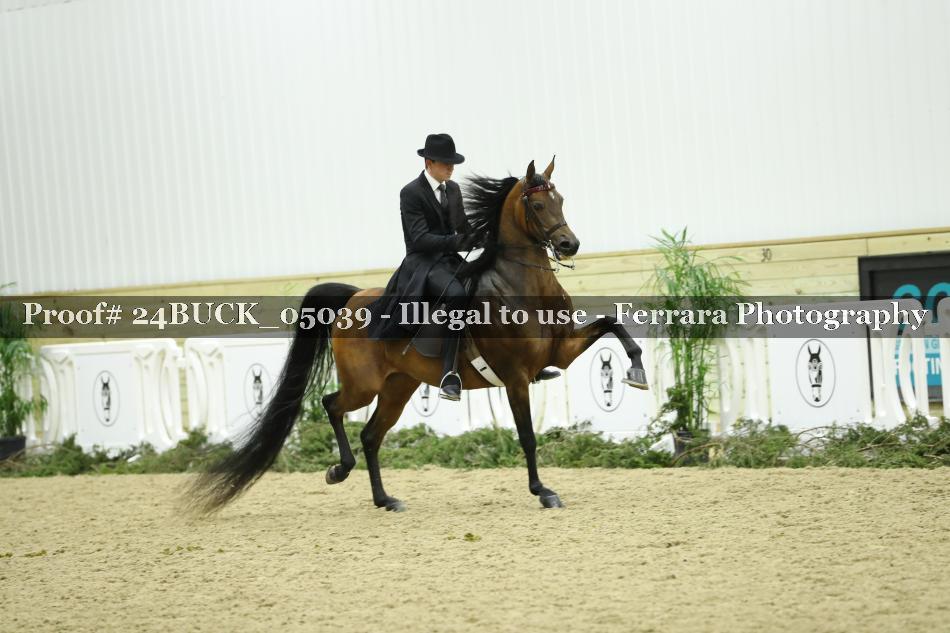 Proof 24BUCK_05039