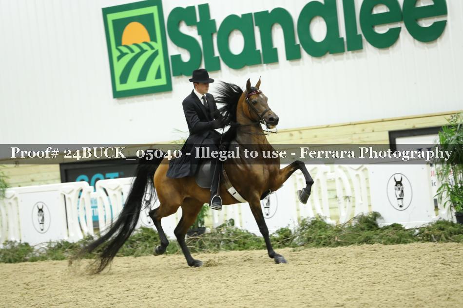 Proof 24BUCK_05040