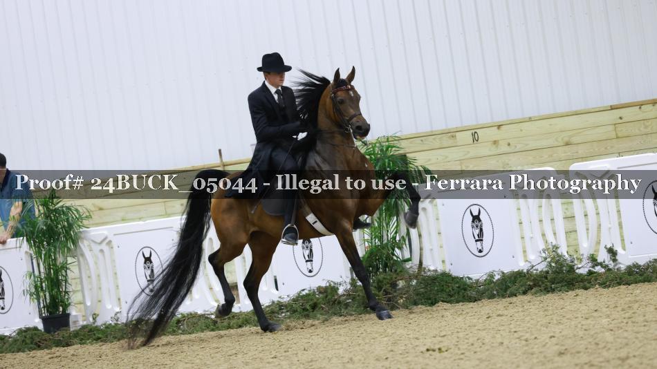Proof 24BUCK_05044