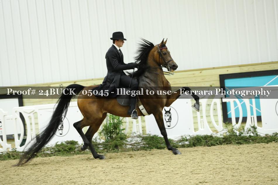 Proof 24BUCK_05045