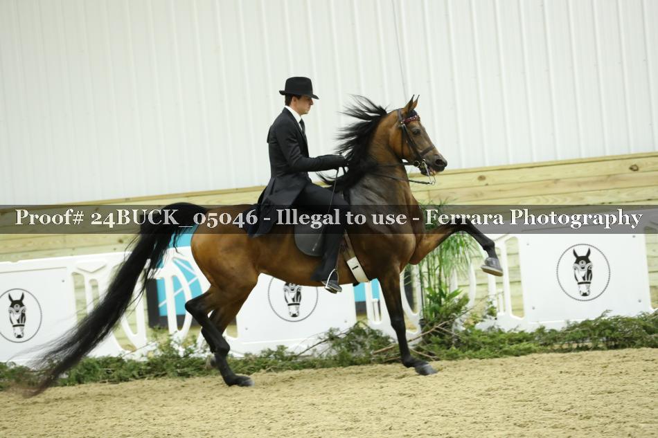 Proof 24BUCK_05046