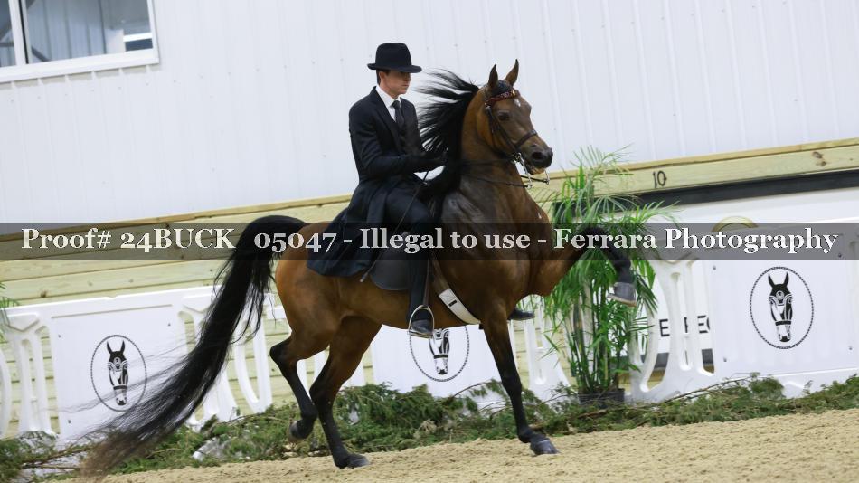 Proof 24BUCK_05047