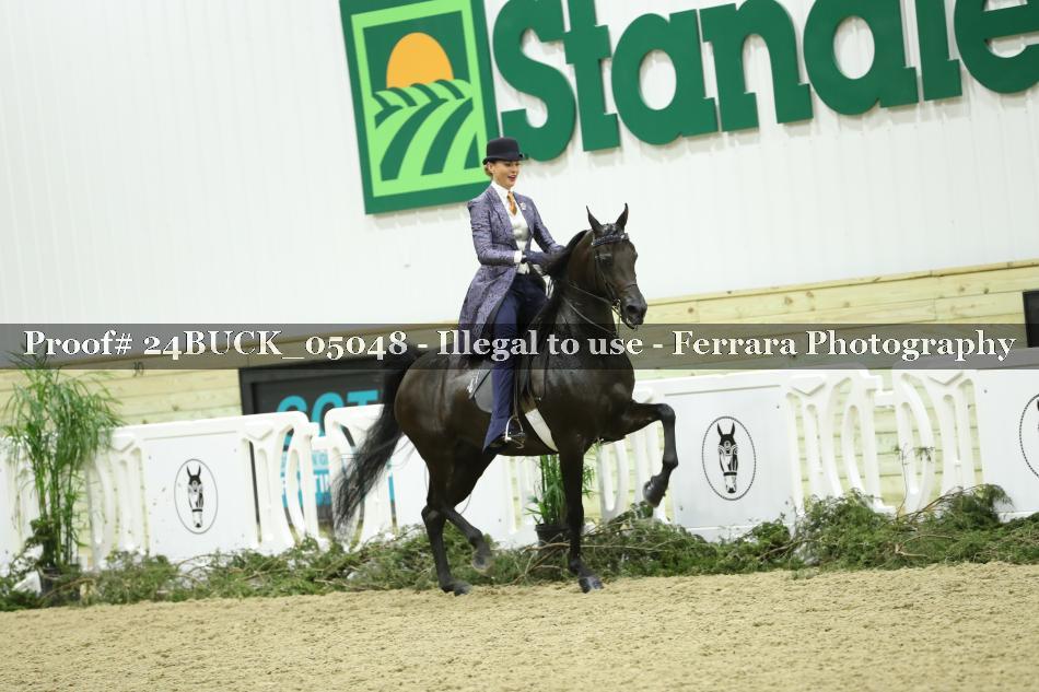 Proof 24BUCK_05048