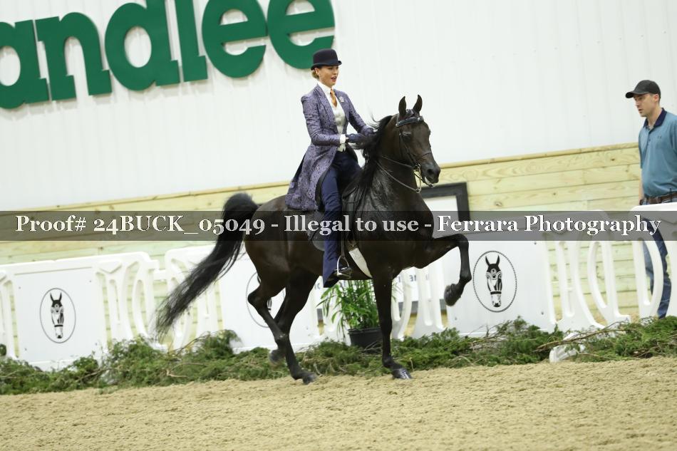 Proof 24BUCK_05049