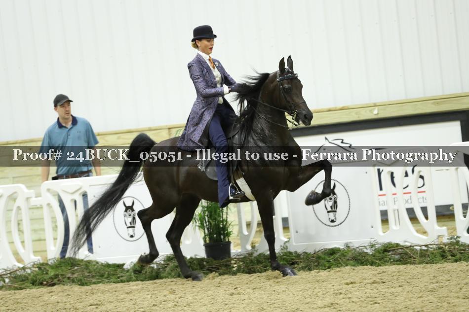 Proof 24BUCK_05051