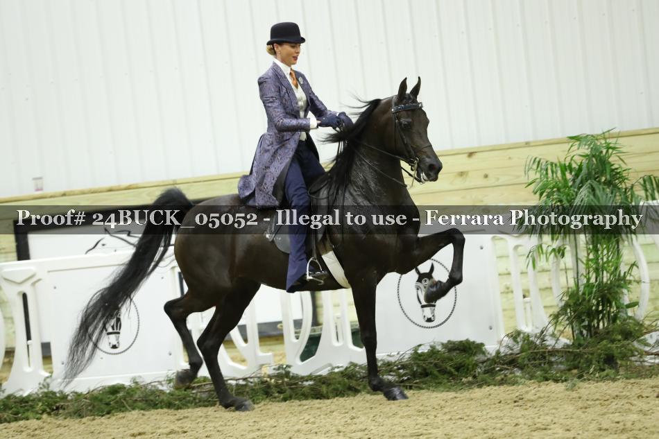 Proof 24BUCK_05052