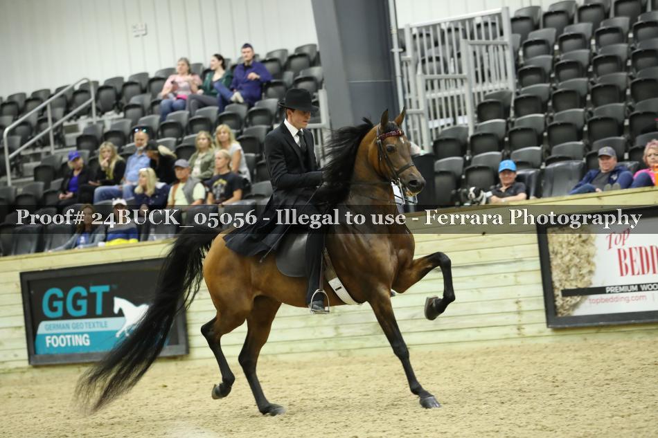 Proof 24BUCK_05056