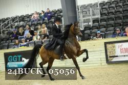 24BUCK_05056 proof