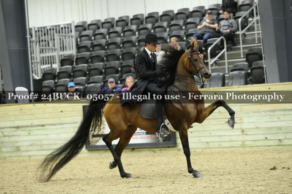 Proof 24BUCK_05057
