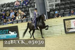 24BUCK_05059 proof