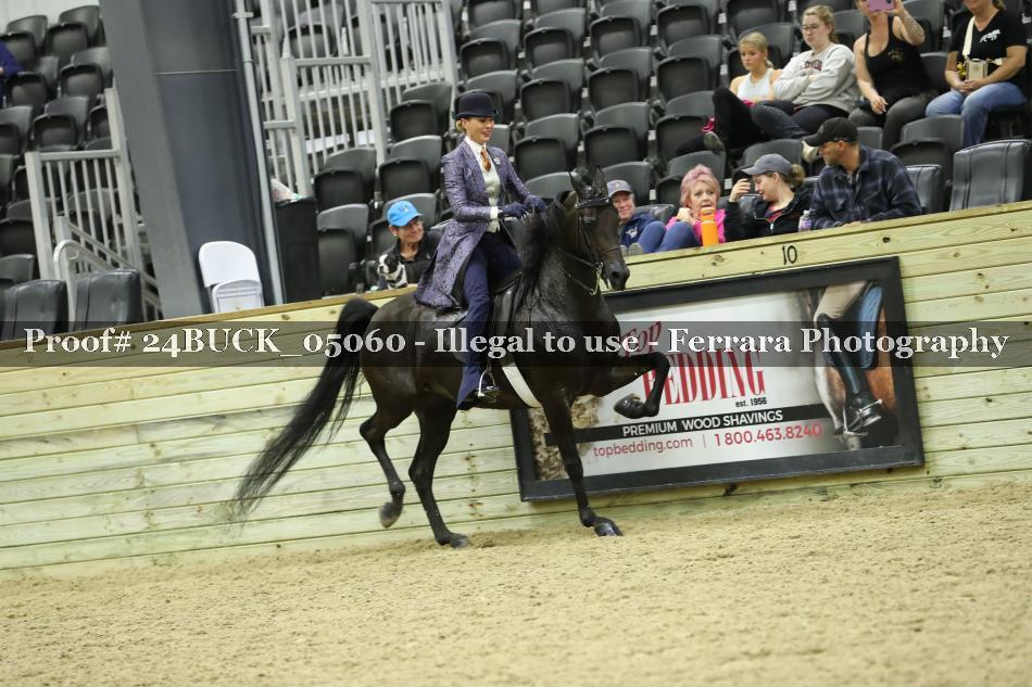 Proof 24BUCK_05060
