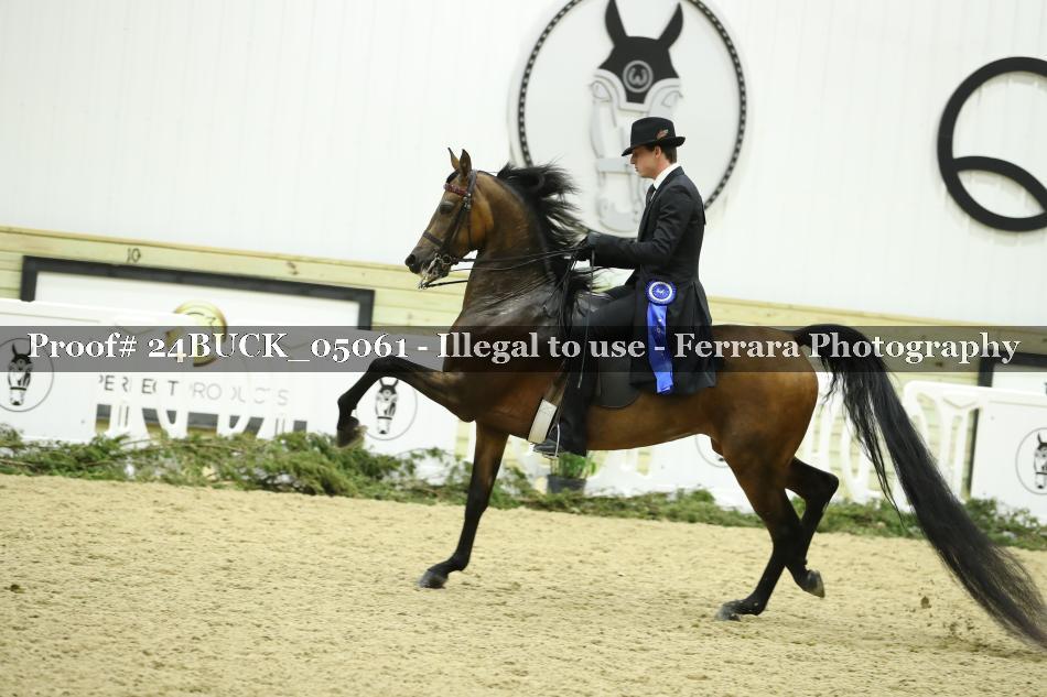 Proof 24BUCK_05061