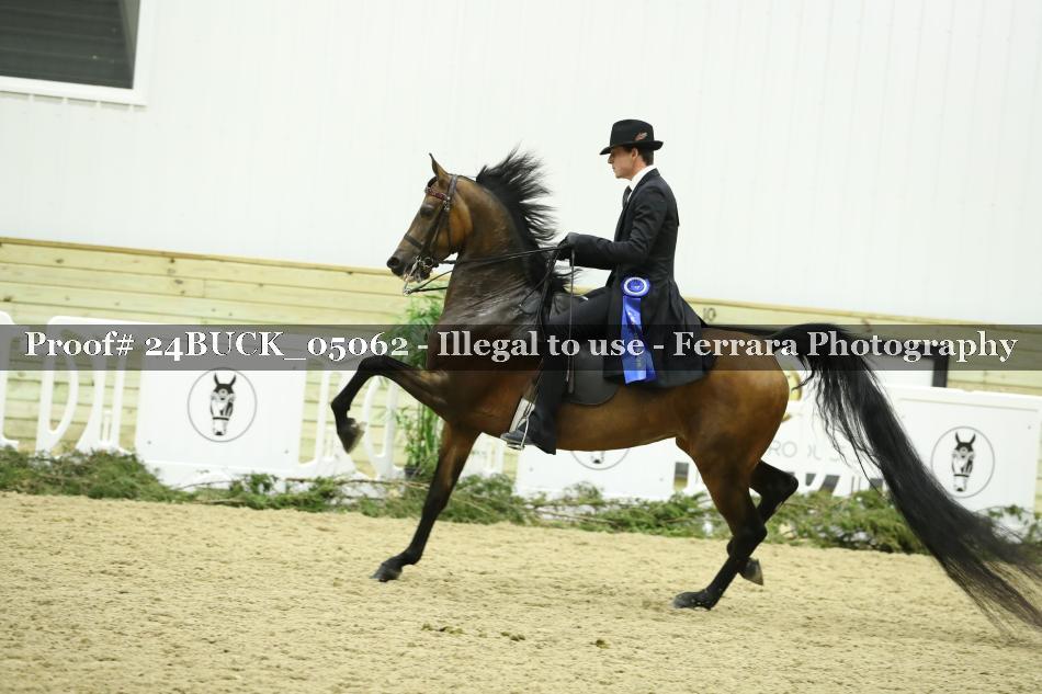 Proof 24BUCK_05062