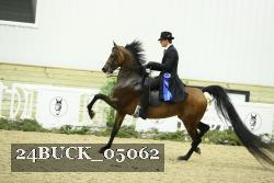 24BUCK_05062 proof