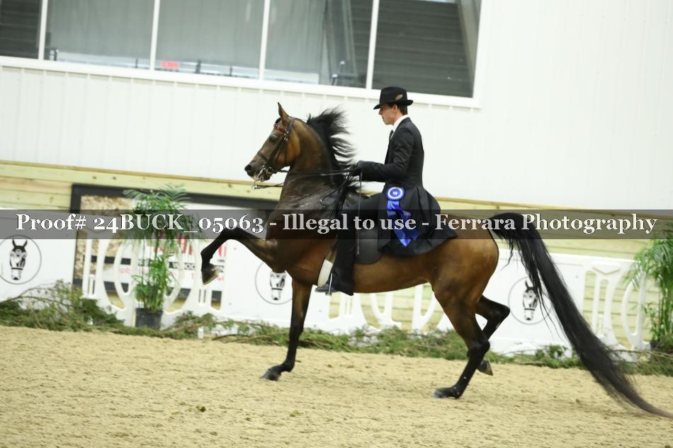 Proof 24BUCK_05063