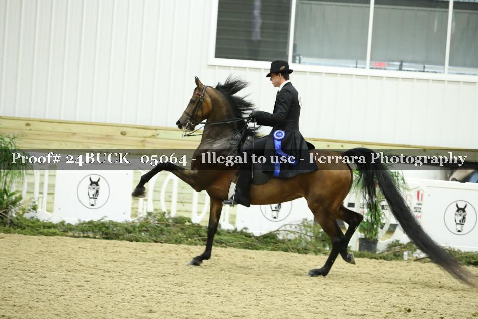 Proof 24BUCK_05064