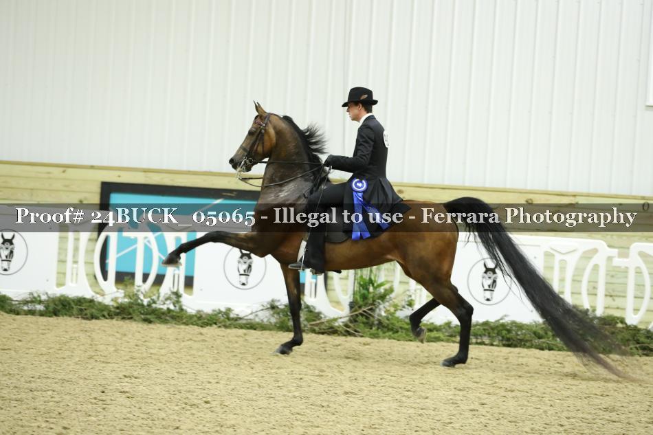 Proof 24BUCK_05065