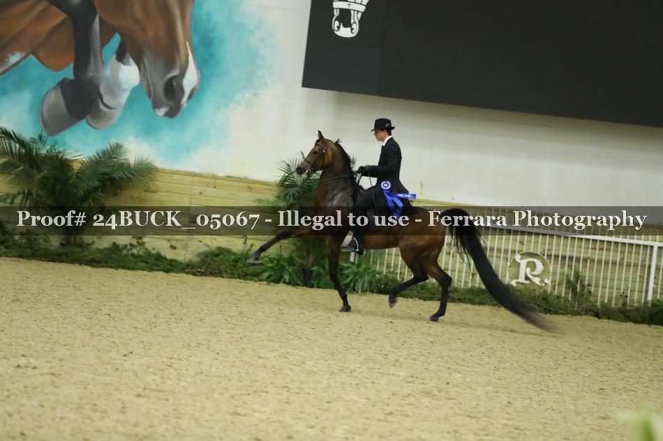 Proof 24BUCK_05067