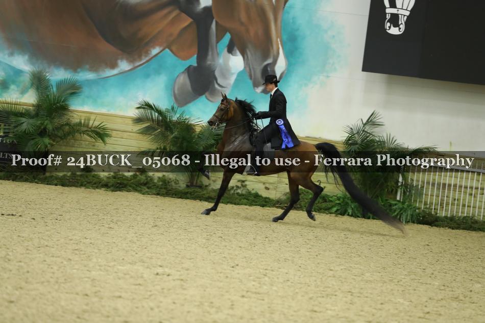 Proof 24BUCK_05068