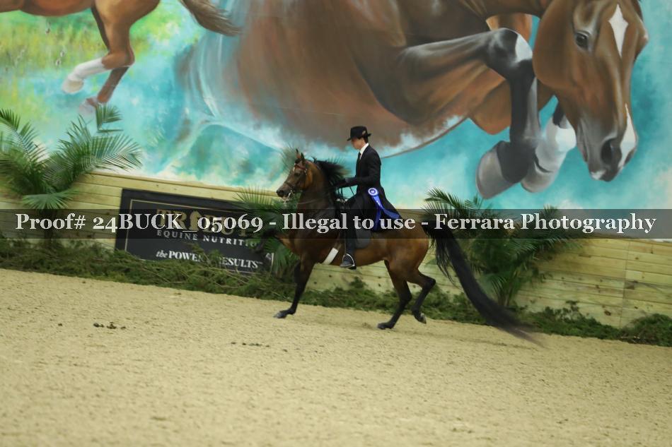 Proof 24BUCK_05069
