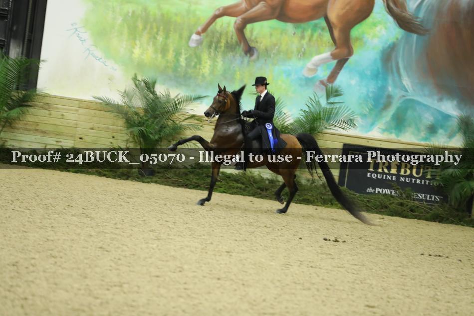 Proof 24BUCK_05070