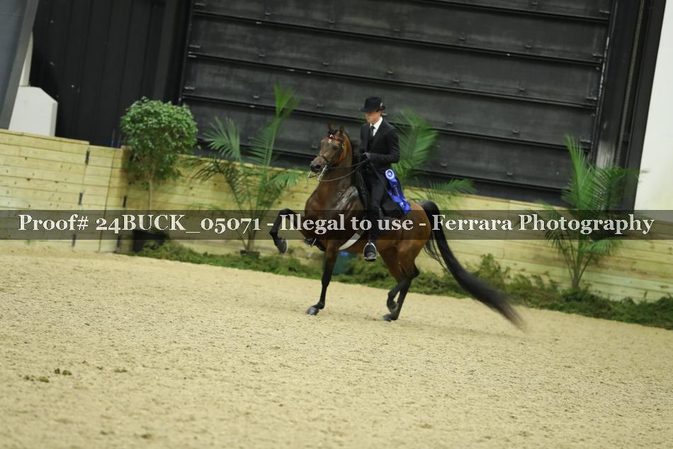 Proof 24BUCK_05071