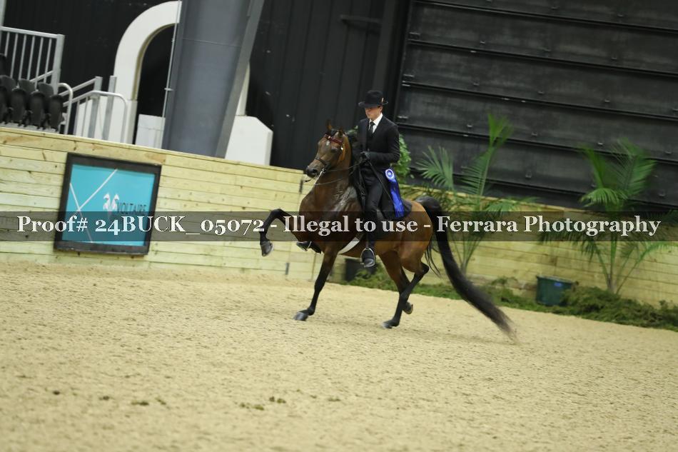 Proof 24BUCK_05072