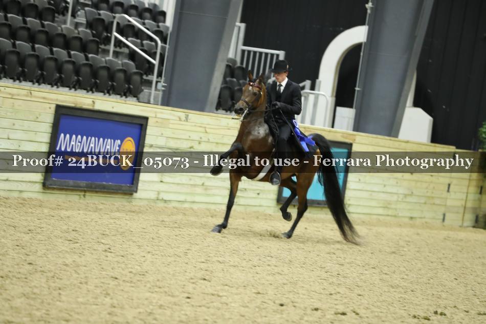 Proof 24BUCK_05073
