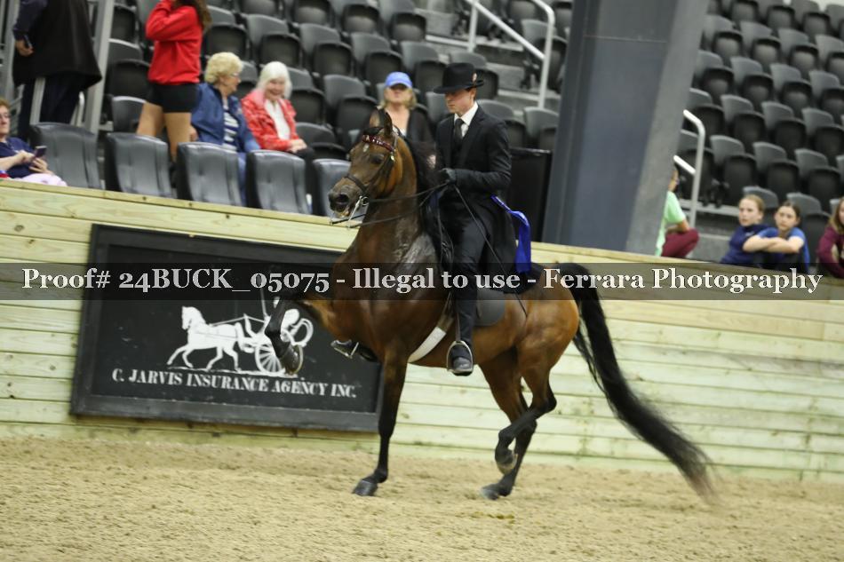 Proof 24BUCK_05075
