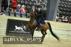 24BUCK_05075 proof