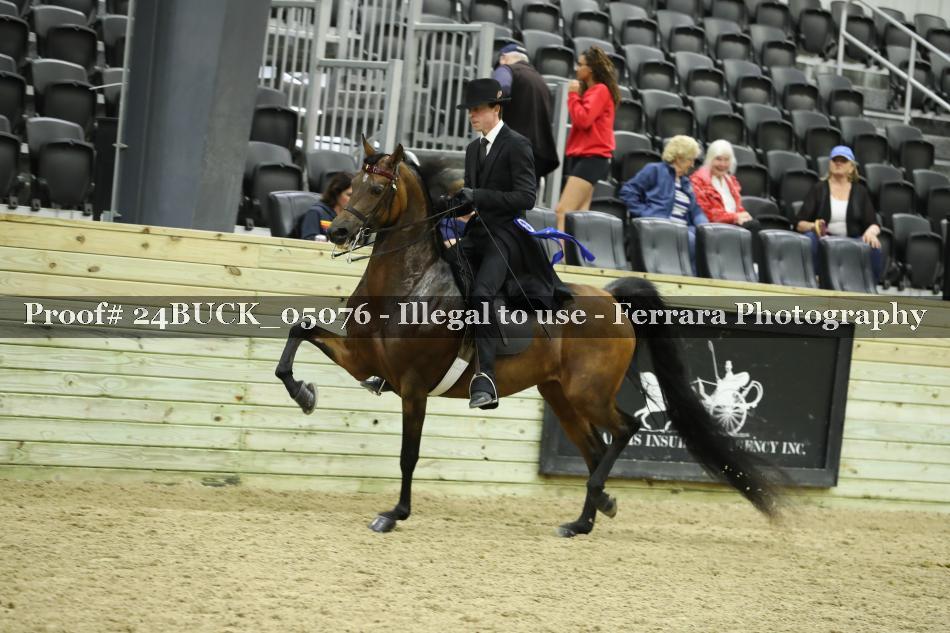 Proof 24BUCK_05076