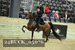 24BUCK_05076 proof