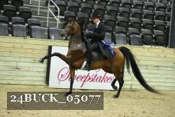 24BUCK_05077 proof