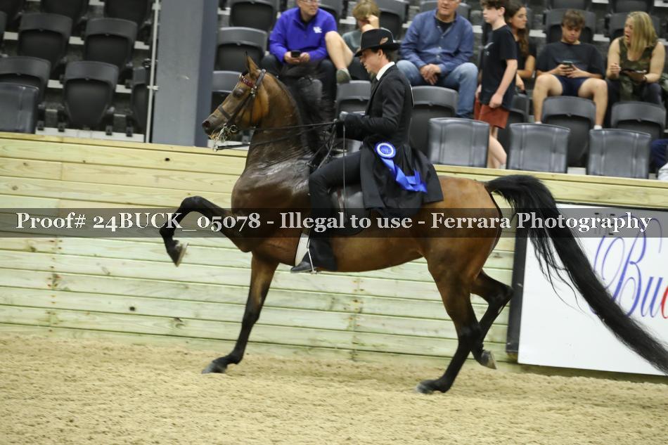 Proof 24BUCK_05078