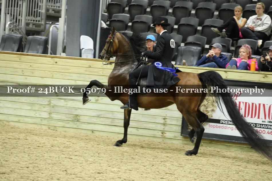 Proof 24BUCK_05079