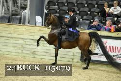 24BUCK_05079 proof