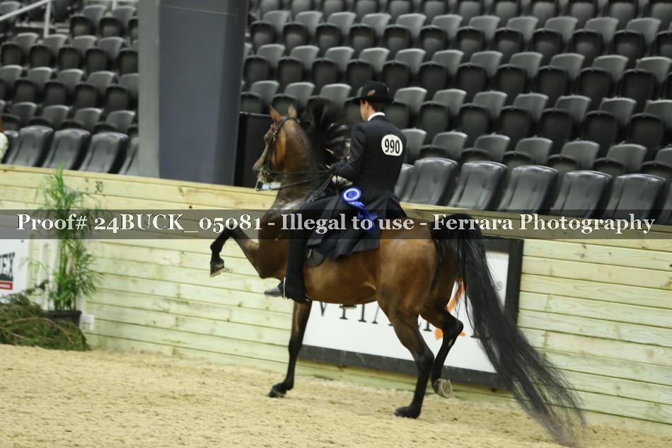 Proof 24BUCK_05081