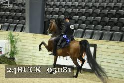 24BUCK_05081 proof