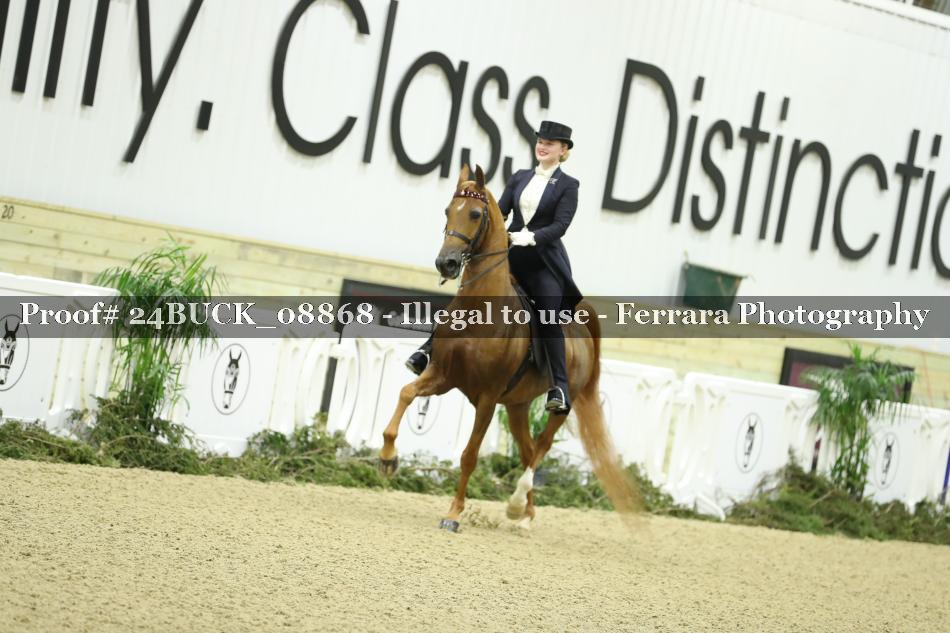 Proof 24BUCK_08868