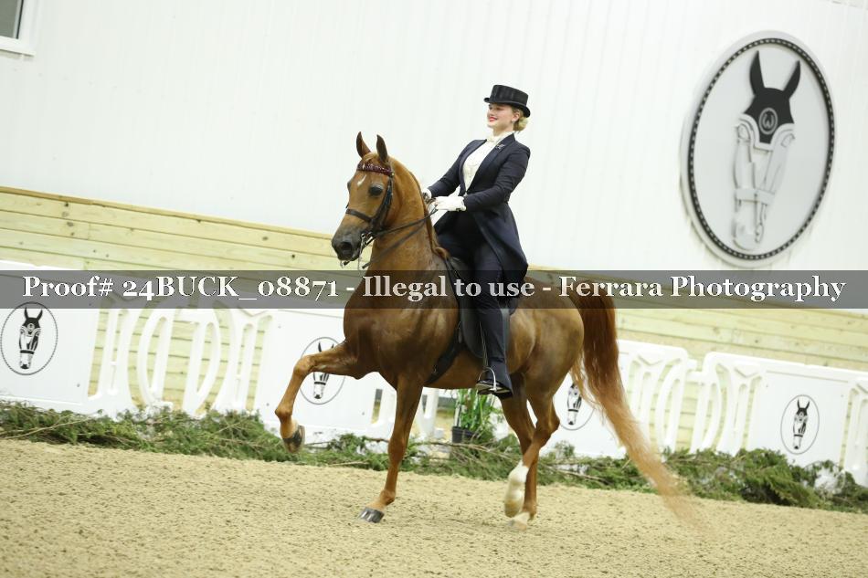 Proof 24BUCK_08871