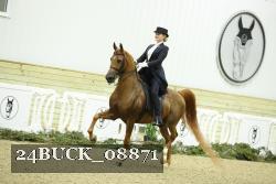 24BUCK_08871 proof