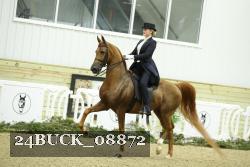 24BUCK_08872 proof